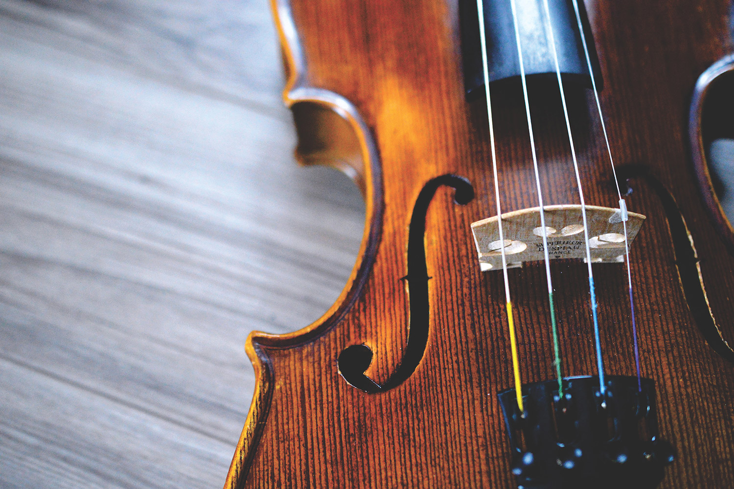 Violine, Cello und Viola lernen in Berlin Kleinmachnow